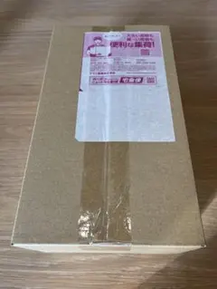 ポケモンセンター　スペシャルボックス　トウホク　新品未開封　シュリンク付き