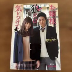 お嬢様、狼には気をつけて　　ピンキー文庫