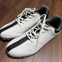 ゴルフシューズ28.0