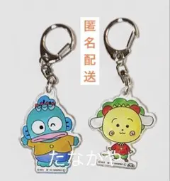 サンリオ×コジコジ アクリルキーホルダー　2個セット　シナモロール　ハンギョドン