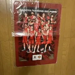 名古屋ダイヤモンドドルフィンズ選手　お風呂ポスターバスケットボールBリーグ非売品