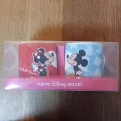 東京ディズニーリゾート ミッキー ミニー ハート型マグカップ2個セット