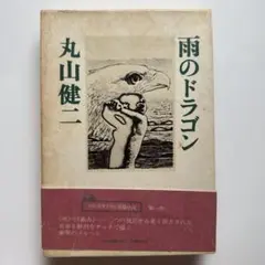 雨のドラゴン 丸山健二