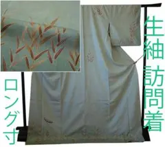 値下げ交渉ＯＫ！ロング寸 生紬 染め 訪問着 正絹 Ｂ９０５