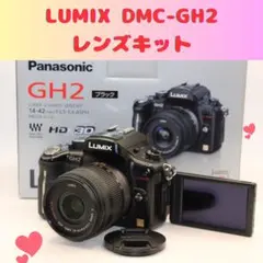 2026年最新】DMC-GH2の人気アイテム - メルカリ