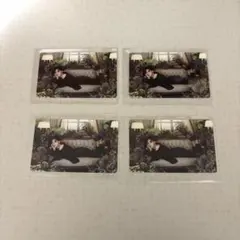 BTS ジミン トレカ BE