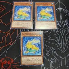 エクシーズスライドルフィン