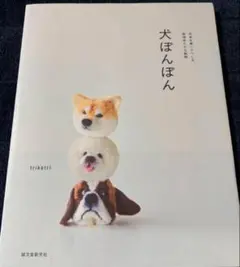 犬 ぽんぽんのサムネイル