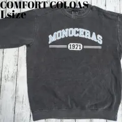 アメリカ古着　スウェット　フェード　アメカジ　プリント　コンフォートカラーズ