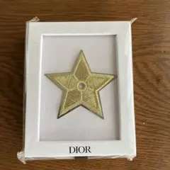 DIOR STAR PIN