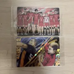 ハイキュー　ウエハース　カード　音駒高校　山本猛虎　田中龍之介