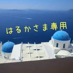 はるかさま専用