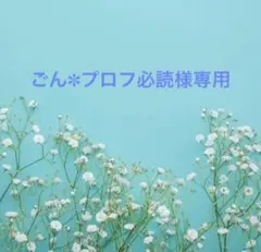 ごん✽プロフ必読様専用