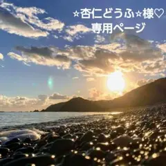 ⭐︎杏仁どうふ⭐︎様♡専用ページ