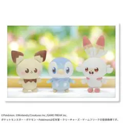 ポケピース　ピチュー・ポッチャマ・ヒバニー　3体セット