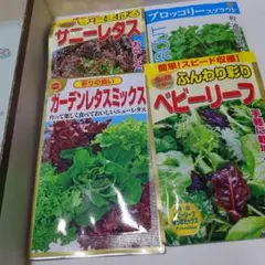 following@main様 リクエスト 2点 まとめ商品