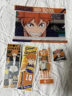 日向翔陽 ブロマイドセット 10番 ハイキュー!!