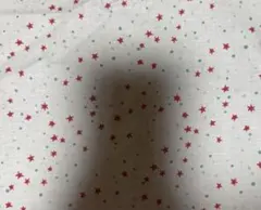 コットン生地 即購入ok