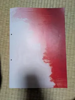 落下の王国 パンフレット