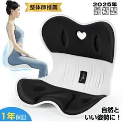 姿勢矯正 椅子 整体師・理学療法士推薦 バランスチェア 腰痛対策 骨盤サポート