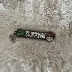 PetiTEEN ラバーチャーム　スングァン