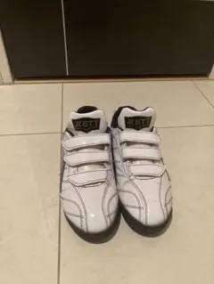 Item thumbnail for item 4c4133cc-0ae7-4801-a21b-f5402235d868