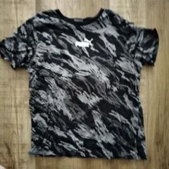 Item thumbnail for item 763509c0-7eeb-4524-b5bf-46aceb0a5341