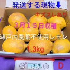 D ３月１５日収穫 新鮮！瀬戸内の農薬不使用レモン　キズスレあり
