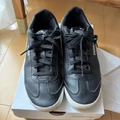 Item thumbnail for item 018ae8ab-72c0-401d-a979-134e2dfe868d