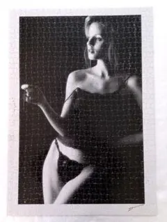 匿名配送 ジグソーパズル 上級者向け！1000ピース超難関 「ポートレートⅢ」