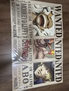 ワンピース　海軍発行公式手配書　三兄弟