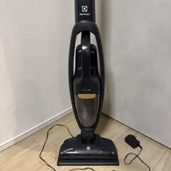 2026年最新】ELECTROLUX well q6の人気アイテム - メルカリ