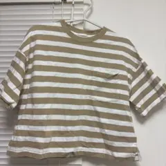 Item thumbnail for item 78f2fa94-475b-445d-924e-c3358ea9d978