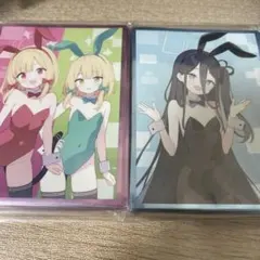 hobby販売/コメントはお気軽に!!様 リクエスト 10点 まとめ商品