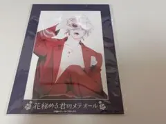 花秘める君のメテオール 花メテ フェイバリットポートレート