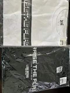 三代目J SOUL BROTHERS RAISE THE FLAG Tシャツのサムネイル