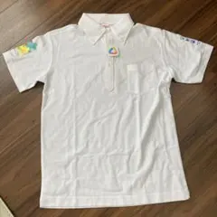 Item thumbnail for item bec09a45-f55e-4eef-bcc1-4de07a40d1ee