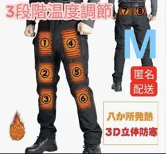 発熱パンツ 電熱パンツ ヒーターパンツ 裏起毛 厚手 カーゴパンツ M グレイ