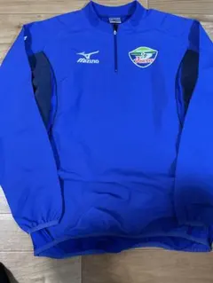 徳島ヴォルティス　ピステ Lサイズ 青