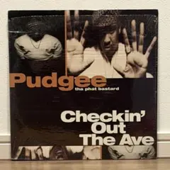 Pudgee tha phat bastard Checkin' Out