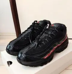 超レア！UNDEFEATED×NIKE　AIRMAX 95SP "UNDFTD"のサムネイル