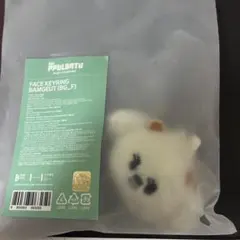 TXT プルバトゥ　ボムギュ　バムグッ