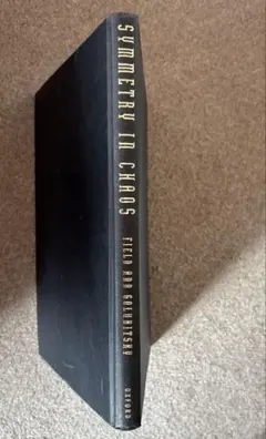 SYMMETRY IN CHAOS ハードカバー洋書