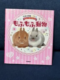 Item thumbnail for item 5ee57ff1-1174-4dfe-b3dd-b33e270b162c