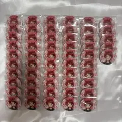 莉犬くん すとめも10 等身缶バッジ 55個 すとぷり