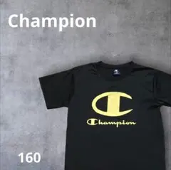 Champion 黒 Tシャツ ゴールドロゴ