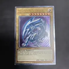 青眼の白龍 レリーフ 遊戯王OCG デュエルモンスターズ(外国語版)