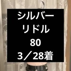 シルバー　完成ウィッグ　コスプレウィッグ　ツイステ