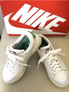 Item thumbnail for item d367a077-ec48-42e8-9302-b7833aa0c3db