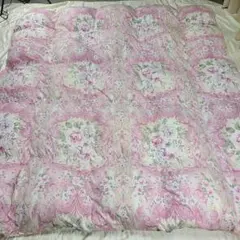 西川リビング フランス産シルバーダックダウン90% 高級羽毛布団ダブル